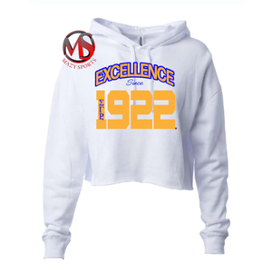 Design à la mode sororité sérigraphie et patch travail pull à capuche polaire Sigma Gamma Rho manches longues fond épais Divine Nine - Product Image 5