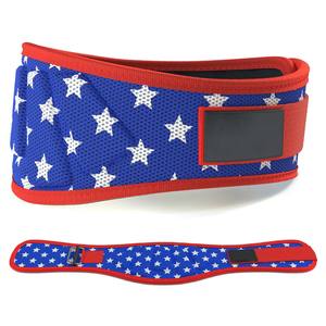 Cinturón de Levantamiento de Pesas de Nailon, Soporte Lumbar para Gimnasio, Cinturones de Bloqueo Rápido, Cinturones de Entrenamiento de Fuerza, Cinturones de Fitness, MOQ Bajo - Product Image 1