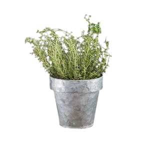 Maceta Florero de metal galvanizado Estilo europeo Uso del piso Parte superior Disponible en diseño personalizado para uso regular - Product Image 3