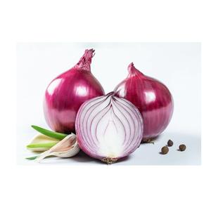 หัวหอมสีม่วงสีแดงและสีขาวสดและหวานเป็นธรรมชาติสำหรับฤดูกาลใหม่ส่งออกจากประเทศเยอรมนี - Product Image 3
