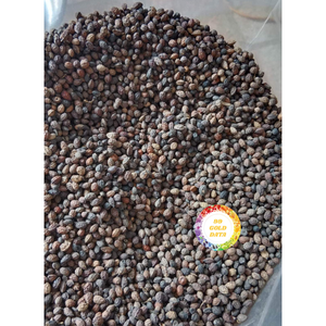 เมล็ดมะละกอตากแห้งคุณภาพสูงจากเวียดนามผลิตภัณฑ์จากธรรมชาติแปรรูปอย่างหมดจดราคาดีสำหรับธุรกิจส่งออก - Product Image 4