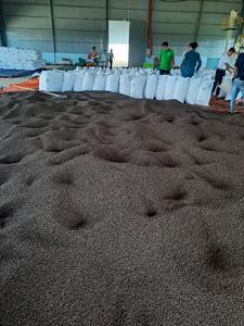 POIVRE NOIR PREMIUM DU VIETNAM, ÉPICE RICHE EN HUILE POUR LA CUISSON, LA TRANSFORMATION ALIMENTAIRE ET L'EXPORTATION |   Mme Lily Ngo - Product Image 2