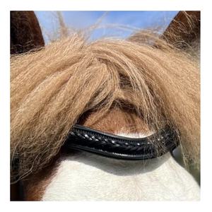 Funda Nasal para Caballo - Diseño Profesional, Color y Tamaño Personalizables, Cuero de Alta Calidad - Product Image 4