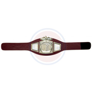 เข็มขัดแชมป์เฮฟวี่เวทสำหรับนักมวยปล้ำรุ่นแท็กโลกออกแบบได้ตามต้องการ - Product Image 5