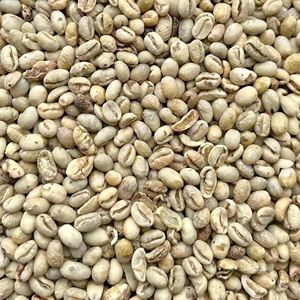 Robusta Green Coffee <b>Bean</b> Top Grade Highest Quality Neutral Taste 60kg/PP <b>Bag</b> Low Price DHPONE Brand - Product Image 3