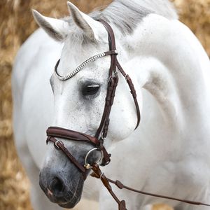 Everness Bridle Dressage Western Headstall Anatomique Anatomique Snaffle Hunter Saisonnier - Product Image 2