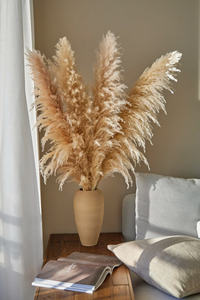 ดอกหญ้า pampas แห้งตกแต่ง-น้ำผักตบชวาแห้งหญ้าดอกไม้จริง - Product Image 6