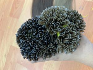 Extension de cheveux U Tip vente en gros 100% Remy humain Double dessiné russe pré-collé kératine U-Tip Extensions de cheveux - Product Image 2