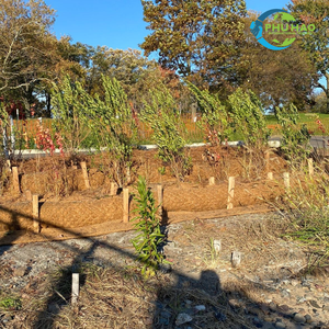 Top Product COIR LOG Natural Coir Log for Soil Stabilization and Plant Root <b>Establishment</b> with High Quality - Product Image 3