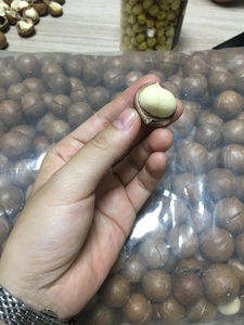 เม็ดมะคาเดเมียธรรมชาติคุณภาพสูง พรีเมียม เหมาะสำหรับของว่าง เบเกอรี่ ขนมหวาน และอุตสาหกรรมอาหาร ขายส่งจากเวียดนาม - Product Image 5