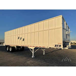 Ejes Traseros Tándem de Cadena de Acero Nuevos BTR 2025 de 38 pies x 102 pulgadas con Ruedas Totalmente de Acero y 1 Año de Garantía - Product Image 5