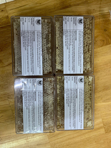 Miel naturel en nid d'abeille brut de haute pureté 500 g/boîte bon pour la santé origine Vietnam | Export coréen, USA - Product Image 5