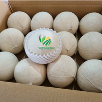 Hot Product van de Maand - VIET THIEN PHU Biologische Jonge Verse Kokosnoot - Hele Schil - Premium Kwaliteit - Gratis Sample