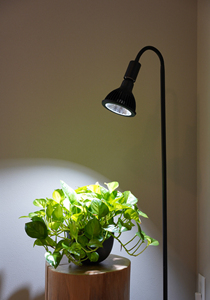 Vente en gros Meilleur prix Lampe LED au sol avec bras flexible de taille réglable à trois hauteurs en matériau PC Supports et bases de lampe - Product Image 5