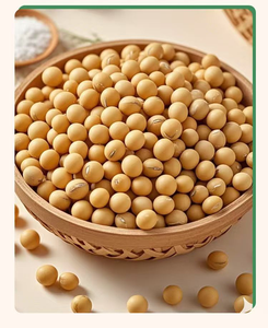 Semillas de Soja Amarilla de Alta Calidad, 50% de Proteína, Origen Estadounidense, Secas, 25 kg, Ingredientes Saludables para Cocinar, 2 Años de Duración, Entrega Rápida - Product Image 3