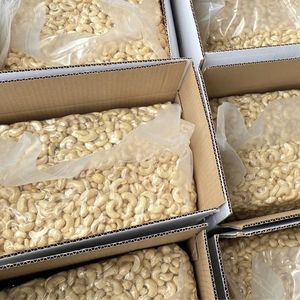 Offre Spéciale 2025 noix de cajou noix de cajou noix de cajou W240 noix de cajou Ww180 Reday à expédier - Product Image 1