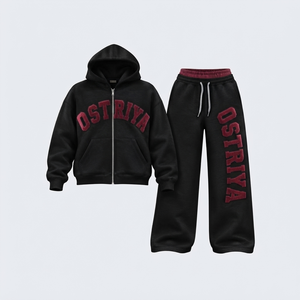 <b>Top</b> Manufacturer High Quality Hot Selling Full Sleeves Hooded <b>Zipper</b> Front Letter Casual Wear Quick Dry Men's Fashion Tracksuit - Product Image 4