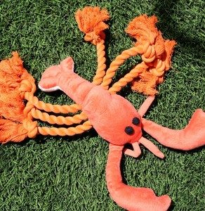 Juguete de cuerda de perro langosta, juguete masticable de cachorro hecho a mano, juguete interactivo de langosta chirriante, juguete de cachorro, regalo para perro, regalo de cumpleaños - Product Image 1