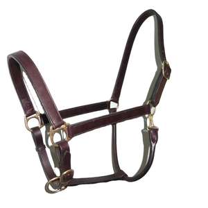 Halter en cuir rembourré doux marron Tack équestre durable supérieur avec matériel en laiton confortable et élégant - Product Image 3