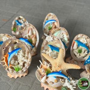 Decoración Artesanal Personalizada con Conchas Marinas, Utilizando Material de Conchas Reales para Productos Decorativos de Vietnam - Product Image 5