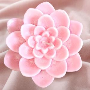 Vela de flores suculentas hecha a mano, diseño de cera rosa para boda y hogar, cera Rosa elegante para favores de fiesta y regalos - Product Image 6
