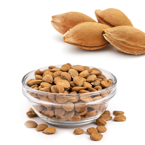 เมล็ดแอปริคอท | การส่งออกยอดนิยมสำหรับผลิตภัณฑ์เพื่อสุขภาพและความงาม - Product Image 5