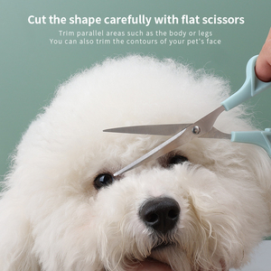 Ciseaux d'outils de toilettage de beauté pour chiens et chats de haute qualité avec manche en acier et acier inoxydable lame tranchante et revêtement en caoutchouc - Product Image 4