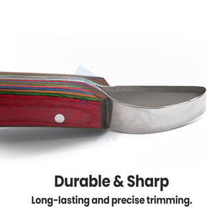 Premium acier inoxydable sabot coupe boucle couteau feuille poignée professionnel maréchal-ferrant outil cheval vache sabot soin Durable pointu - Product Image 2