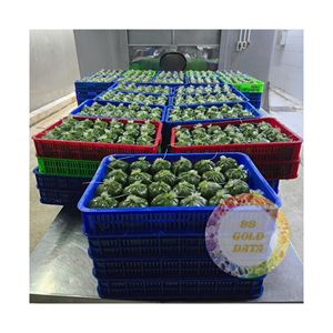FEUILLES DE MANIOC CONCUIES AU MEILLEUR PRIX/QUALITÉ SUPÉRIEURE/SÉLECTIONNÉES À LA MAIN POUR UNE RECETTE FAMILIALE DU VIETNAM CONSERVÉE EN VRAC - Product Image 1