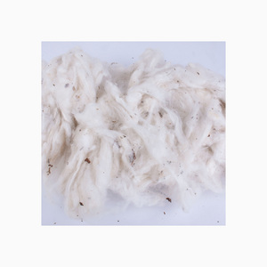 Bales de coton brut biologique - Matériel de rembourrage écologique et respirant, origine américaine, prêt pour le marché international - Product Image 4