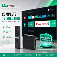 TV Box Q5 H313 Android 10 Quad Core 2GB 8GB 4K BT 5.2 IATV OS Lemon TV Player, Logotipo de Arranque Personalizado, OEM/ODM, 1 Unidad MOQ, Código Xtream