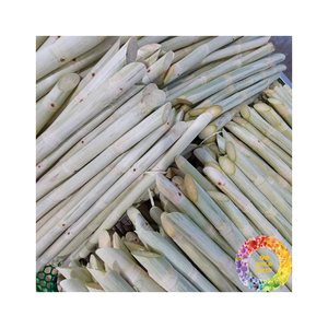 Bâtonnets de canne à sucre congelés de qualité supérieure 100 pour cent frais goût naturel jus sucré idéal pour les boissons smoothies cocktails partout - Product Image 6