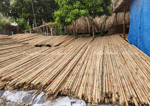 Meilleur vendeur, poteaux en bambou gratuits/ Grands poteaux en bambou/ Prix des poteaux en bambou de Eco2go Vietnam - Product Image 5