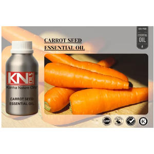 Aceite Esencial de Semilla de Zanahoria 100% Puro Destilado al Vapor |   Cuidado de la Piel con Aromaterapia para Todo Tipo de Piel Antienvejecimiento - Product Image 2