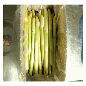 Bâtons de canne à sucre congelés de qualité supérieure pour la fabrication de jus et de boissons rafraîchissantes, goût frais, norme d'exportation, approvisionnement en vrac disponible - Product Image 6