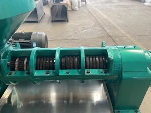 Haute efficacité économie d'énergie YZYX168C presse à huile à vis rendement élevé haut profit huile de noyau de noisette d'olive faisant de la noix de coco crue - Product Image 4