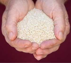 เมล็ดงา ขาวคุณภาพสดและบรรจุขนาดที่กําหนดเองสําหรับการส่งออก - Product Image 1