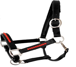 Licou de cheval en cuir rembourré réglable avec boucles en laiton cousues fantaisie Logo personnalisé mentonnière - Product Image 1