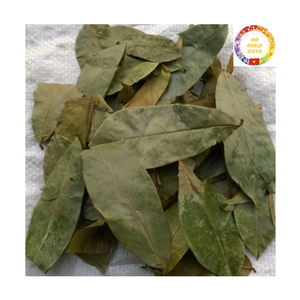 Feuilles de corossol séchées du Vietnam de qualité supérieure, approvisionnement en vrac pour les tisanes - Product Image 4