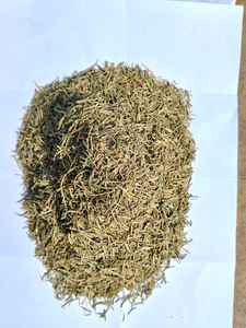 Hojas de Romero secas Premium Natural, aromático, proveedor de exportación a granel - Product Image 2