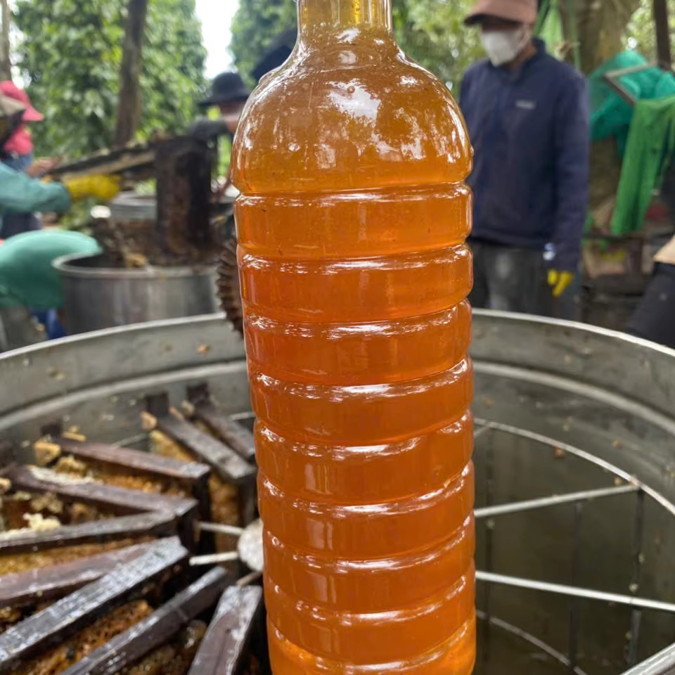 Low Price Pure Honey Syrup Halal Certified, Great Taste