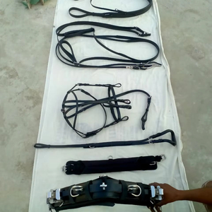 Juego de arnés de cuero para caballos de alta calidad con accesorio de acero inoxidable - Product Image 1