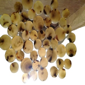 Modèle rond de bouton pression en corne de buffle naturelle de haute qualité sans trou du fabricant de boutons noirs supérieurs de l'Inde - Product Image 5