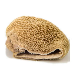 เนื้อวัวแช่แข็งคุณภาพสูงเนื้อลูกวัวสุกสุกสุกเนื้อแช่แข็ง - Product Image 1