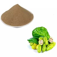 Vente en gros d'extrait de noni bio 100% en poudre 99% Morinda Citrifolia Supplément à base de plantes pour fruits et graines dans un emballage en bouteille