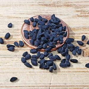 Récolte fraîche 99% pureté graine de nigelle graine de nigelle séchée naturelle à vendre en vrac approvisionnement en gros - Product Image 4