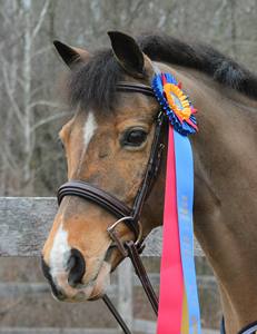 Brida Ecuestre de Cuero Indio Puro con Tirador Lateral, Negra, Tamaño y Logotipo Personalizables, Precio Económico al por Mayor, Alta Calidad - Product Image 3
