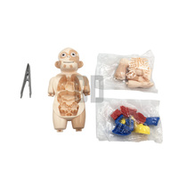 Modelo de Cuerpo Humano para Juguetes de Ciencia e Ingeniería