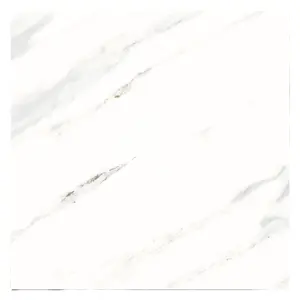 Carrara design marble tiles 60*60 Large white marble floor tiles statuario marble slab Hot sale 20*30cm white coated tile