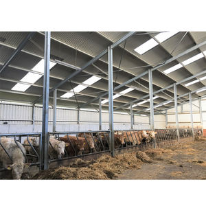 Ferme d'élevage de vaches à construction rapide/étable à vaches en acier pour hangar laitier - Product Image 4